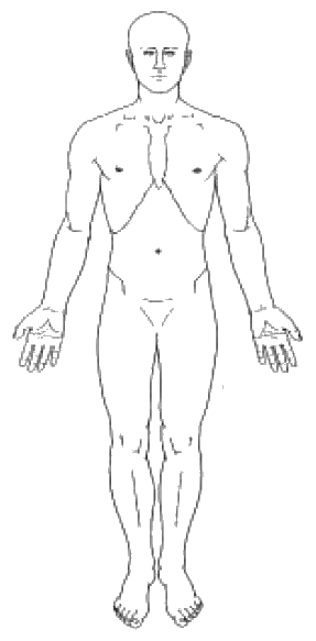 Body outline — front view