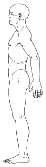 Body outline — left side