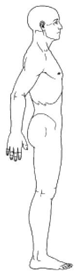 Body outline — right side